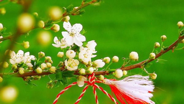 Ce semnifică ziua de 1 Martie și Mărțișorul?! Legende și tradiții de 1 martie