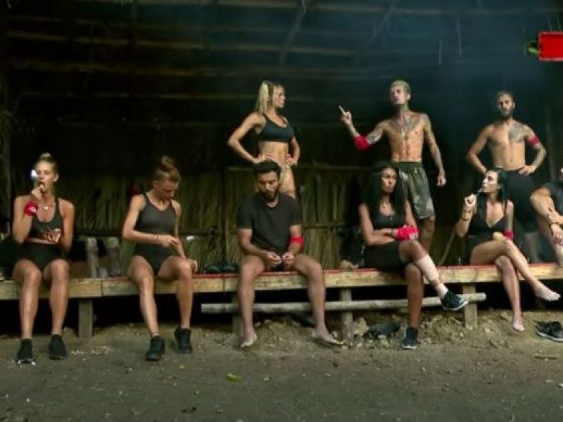 conflictul dintre Elena Marin și Zanni