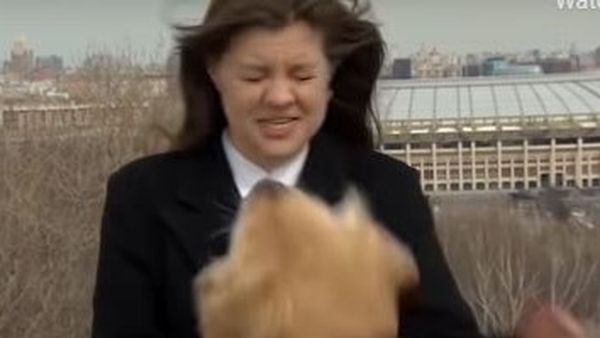 Viral! Un câine năzdrăvan a furat microfonul reporteriței chiar în timpul unei transmisiuni live