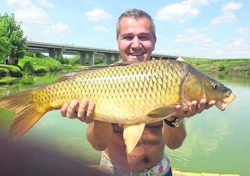 Ce afaceri are Dan Bittman. Cu ce se ocupă în afară de muzică