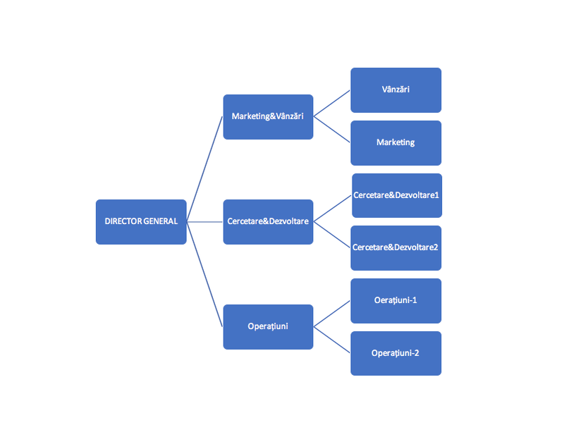 Ce este, de fapt, organigrama unei firme