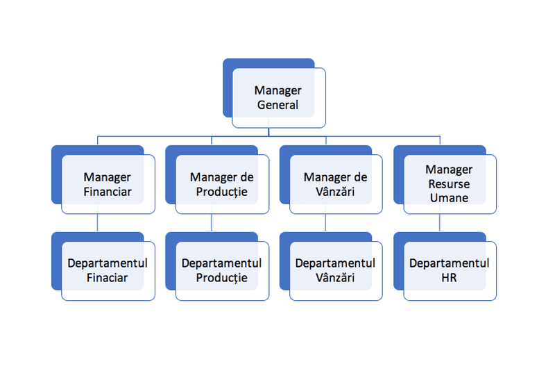 Ce este, de fapt, organigrama unei firme