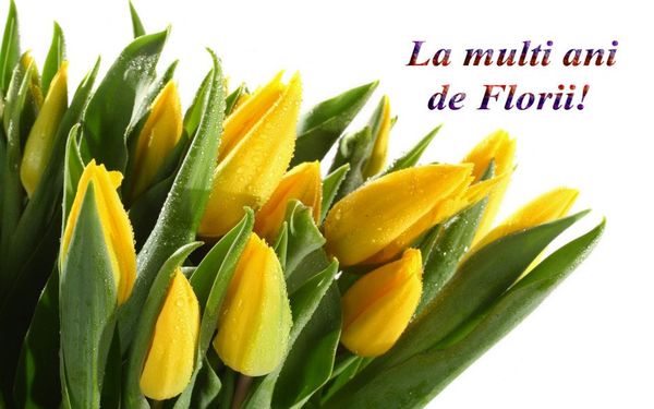Colaje FOTO cu mesaje de la mulți ani pentru toți cei care poartă nume de flori