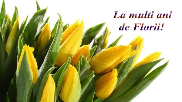 Colaje FOTO cu mesaje de la mulți ani pentru toți cei care poartă nume de flori