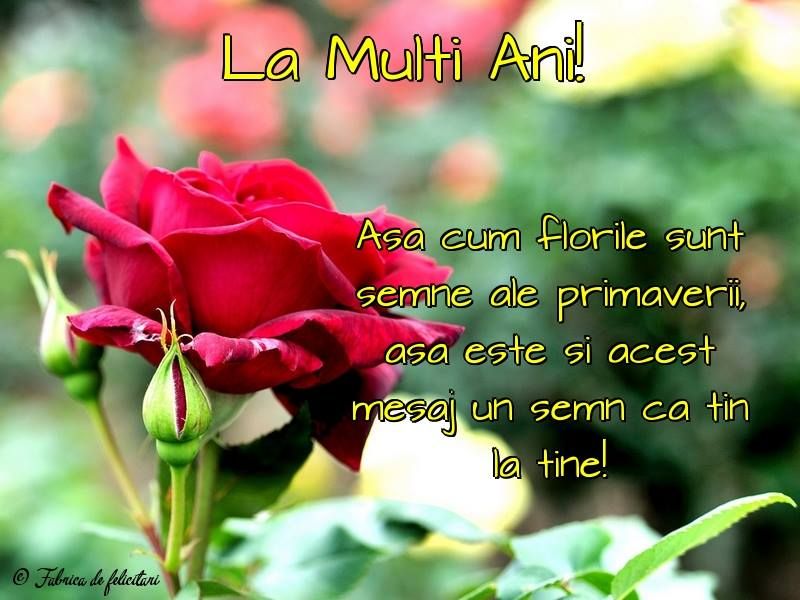 Colaje FOTO cu mesaje de la mulți ani pentru toți cei care poartă nume de flori