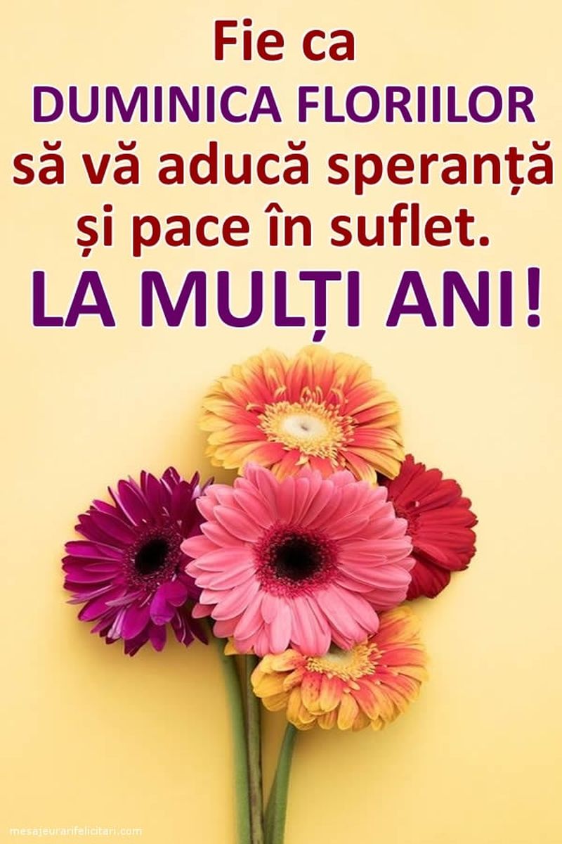 Colaje FOTO cu mesaje de la mulți ani pentru toți cei care poartă nume de flori