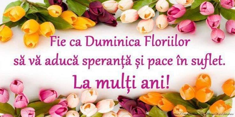 Colaje FOTO cu mesaje de la mulți ani pentru toți cei care poartă nume de flori