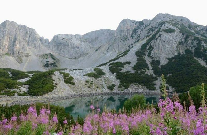 Ce salarii au, de fapt, bulgarii. Cât ajung să câștige cu adevărat aceștia într-o lună