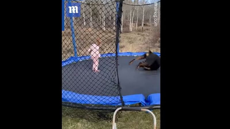 Te topeşti! Momentul în care o fetiţă şi câinele ei sar pe trambulină