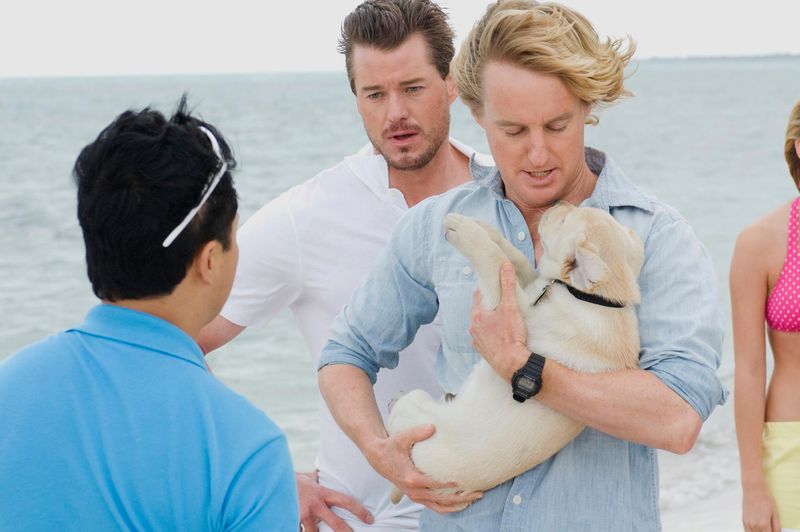 10 filme vechi care merită revăzute la intervale de unul-doi ani