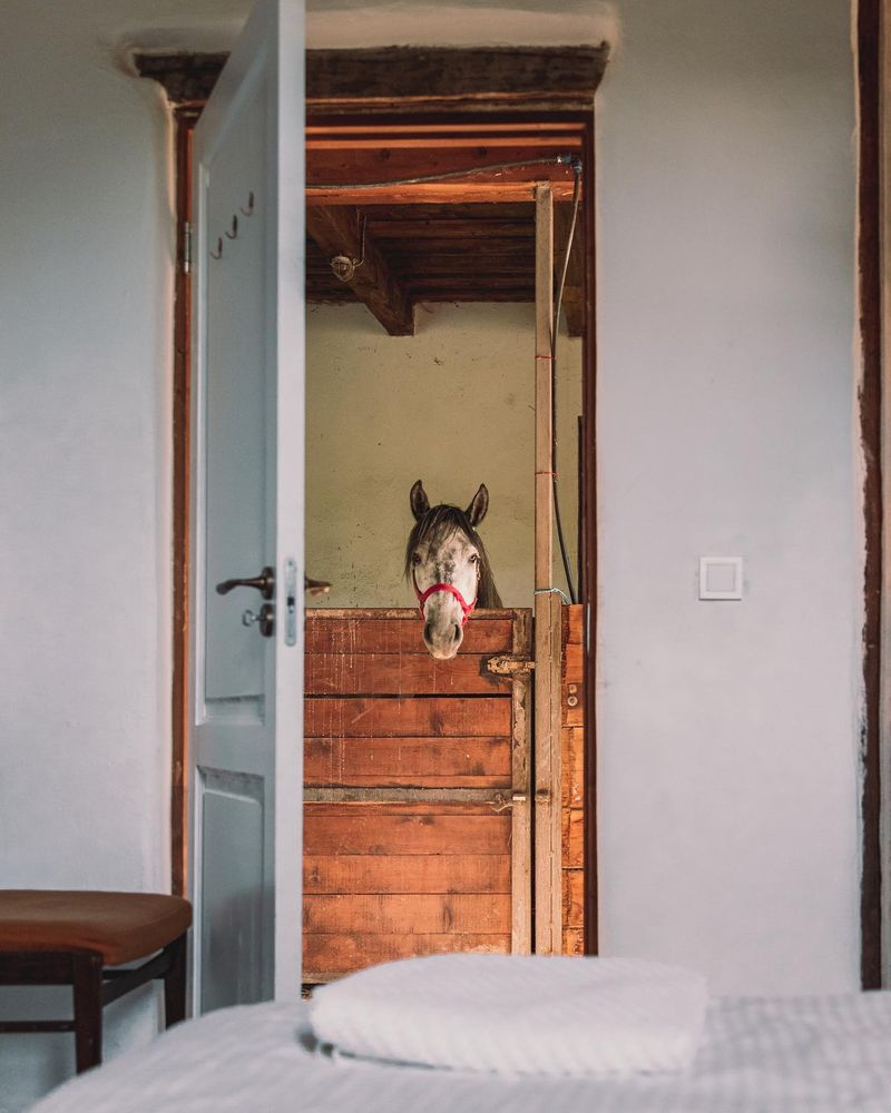 Cele mai inedite 5 cazări din România. Au ceva special ce nu găsești în altă parte