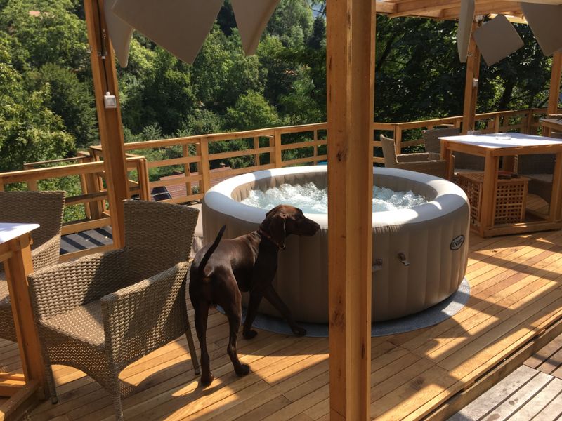 Cele mai inedite 5 cazări din România. Au ceva special ce nu găsești în altă parte