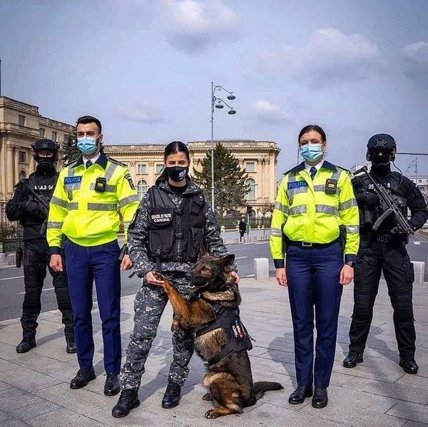 Cum să te &icirc;nscrii la Academia de Poliție Alexandru Ioan Cuza