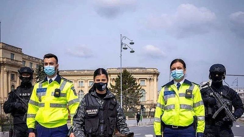 Cum să te &icirc;nscrii la Academia de Poliție Alexandru Ioan Cuza