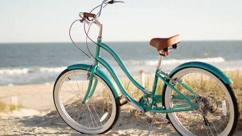 3 iunie 2021, Ziua Mondială a Bicicletei 