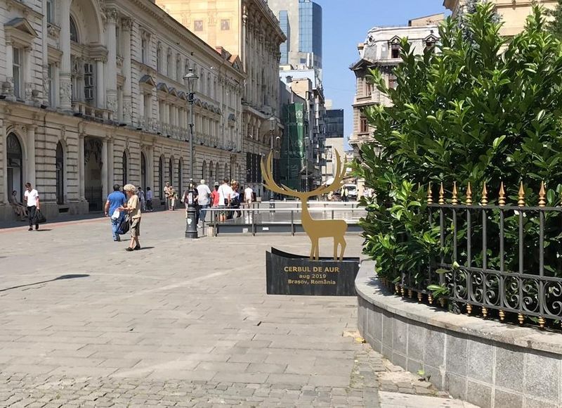 Când va avea loc Cerbul de Aur în 2021. TVR a confirmat desfășurarea concursului muzical