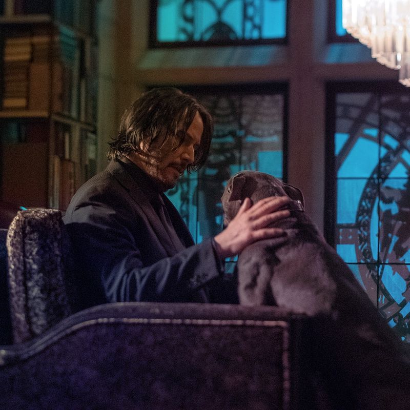 TOP 5 filme care vor apărea în 2022 și vor rupe gura târgului