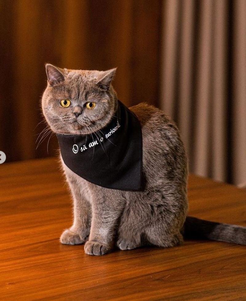 Nicole Cherry a dezvăluit sexul bebelușului într-un mod inedit