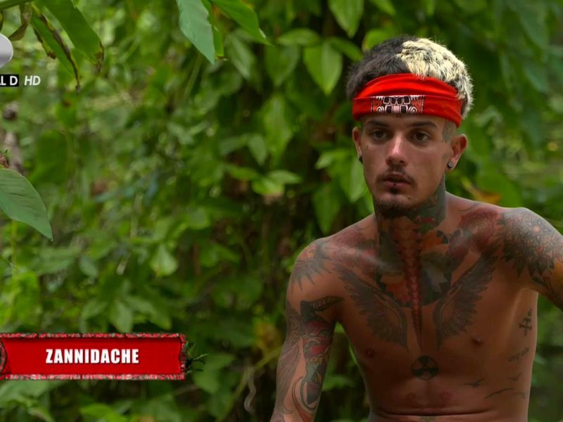 Alex Velea, despre experiența Survivor România pentru Zanni