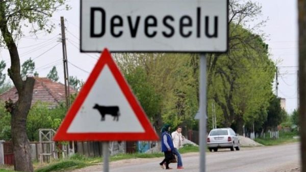 AUDIO Uzina de Dume. Veselie la Deveselu! Fiul și unchiul primarului care a murit se bat pe același scaun