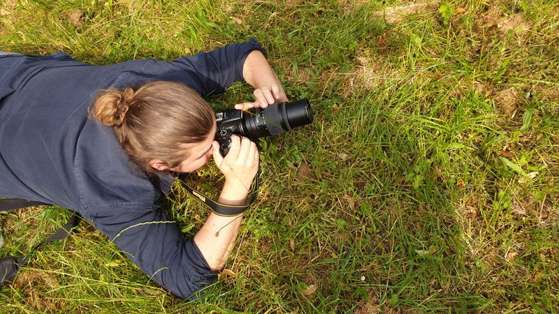 Ce prețuri au în 2021 fotografii și cameramanii pentru o nuntă sau un botez