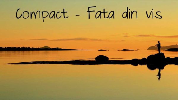 EVEN STEVEN vs. COMPACT - Fata Din Vis