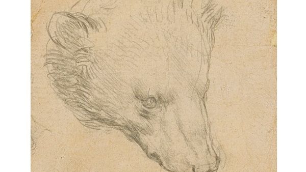 Un desen al lui Leonardo da Vinci, v&acirc;ndut pentru mai mult de 8,8 milioane de lire sterline