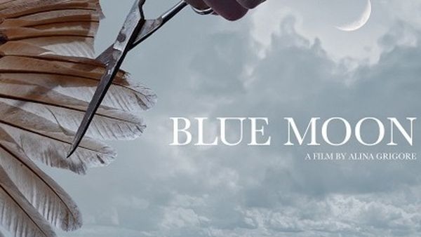 Lungmetrajul rom&acirc;nesc &bdquo;Crai nou&rdquo;, selectat &icirc;n competiţia Festivalului de la San Sebastian