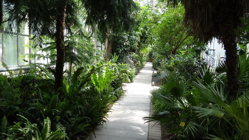 Ce obiective turistice trebuie să vizitezi neapărat dacă ajungi în Cluj. FOTO