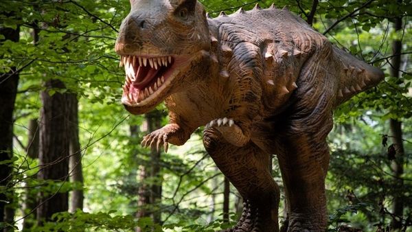 Record la Dino Parc R&acirc;şnov! Peste 2.000.000 de vizitatori au trecut pragul celui mai mare parc cu dinozauri din Sud-Estul Europei