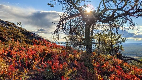 Şapte citate frumoase &icirc;n imagini despre toamnă. FOTO