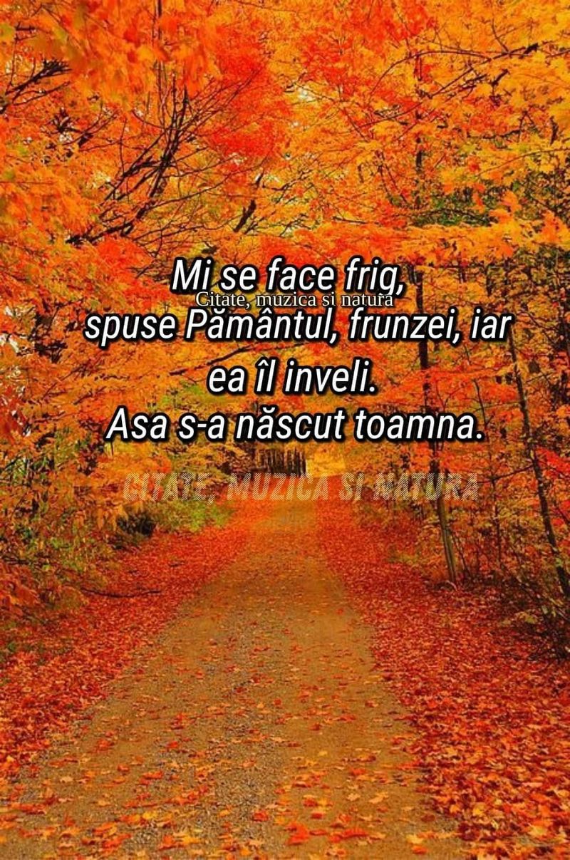 Citate frumoase în imagini despre toamnă. FOTO