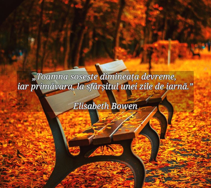 Citate frumoase în imagini despre toamnă. FOTO