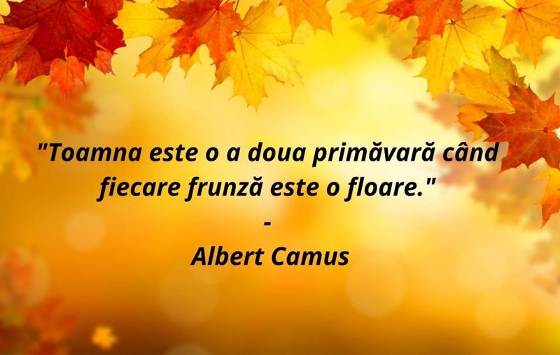 Citate frumoase în imagini despre toamnă. FOTO