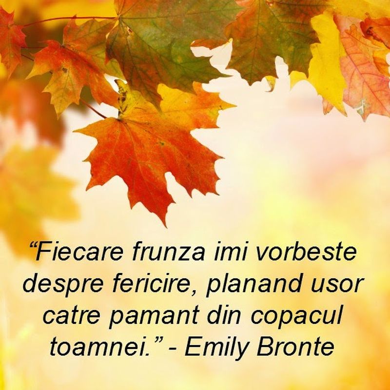 Citate frumoase în imagini despre toamnă. FOTO