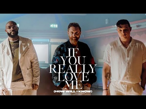 DAVID GUETTA & MISTAJAM, JOHN NEWMAN - If You Really Love Me