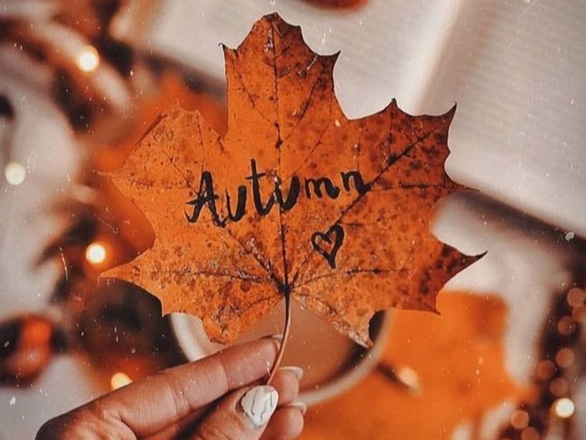 Echinocțiul de toamnă 2021! Pe 22 septembie &icirc;ncepe oficial toamna