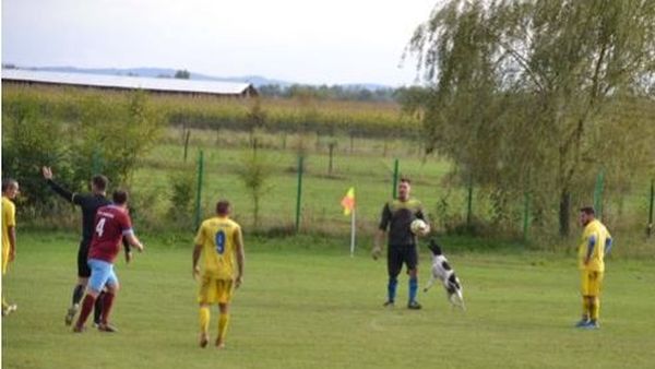 Dimineața Nebună | Un meci din liga a patra, întrerupt de un cățel. Audio