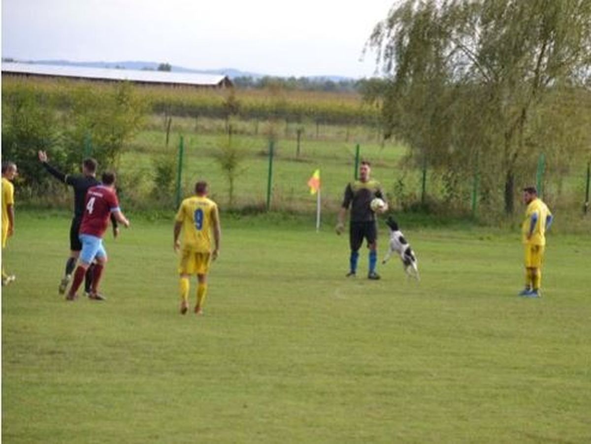 Dimineața Nebună | Un meci din liga a patra, întrerupt de un cățel. Audio