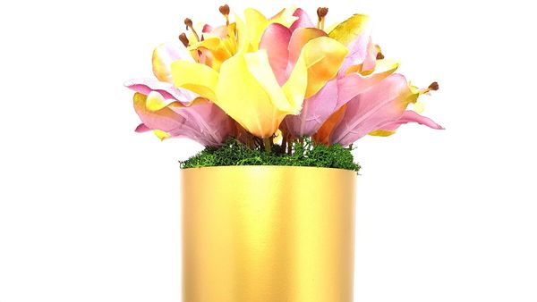 Cum se &icirc;ngrijesc corect crinii de ghiveci