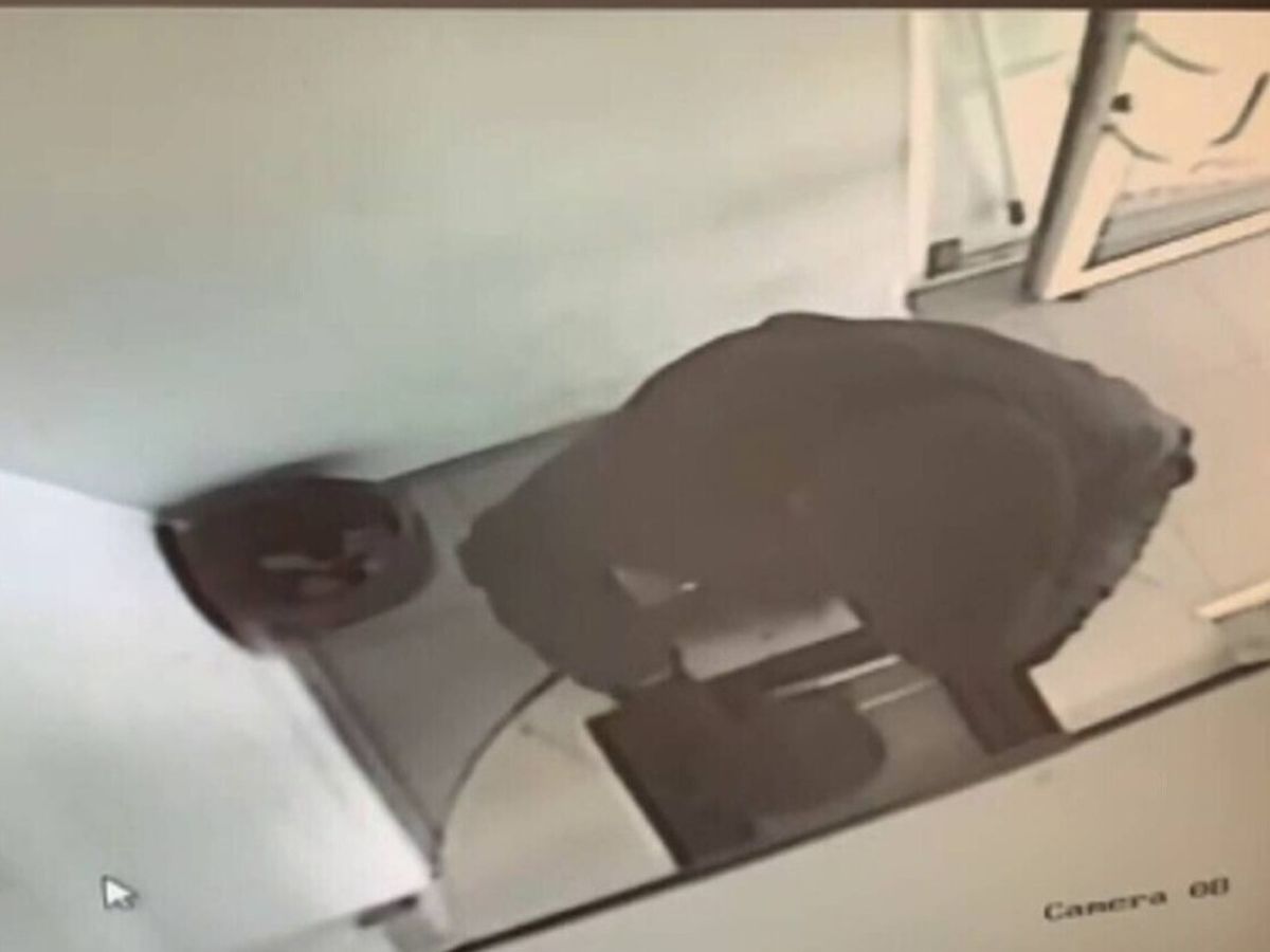 Dimineața Nebună: Un bărbat din Arad a amenințat că detonează o bombă la o casă de schimb valutar! Ce era, de fapt, în pachet