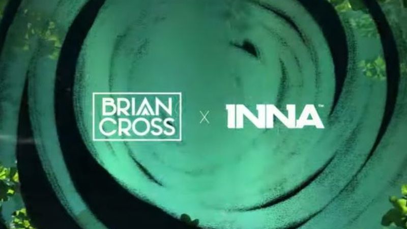 INNA și Brian Cross au lansat piesa &rdquo;Like That&rdquo;