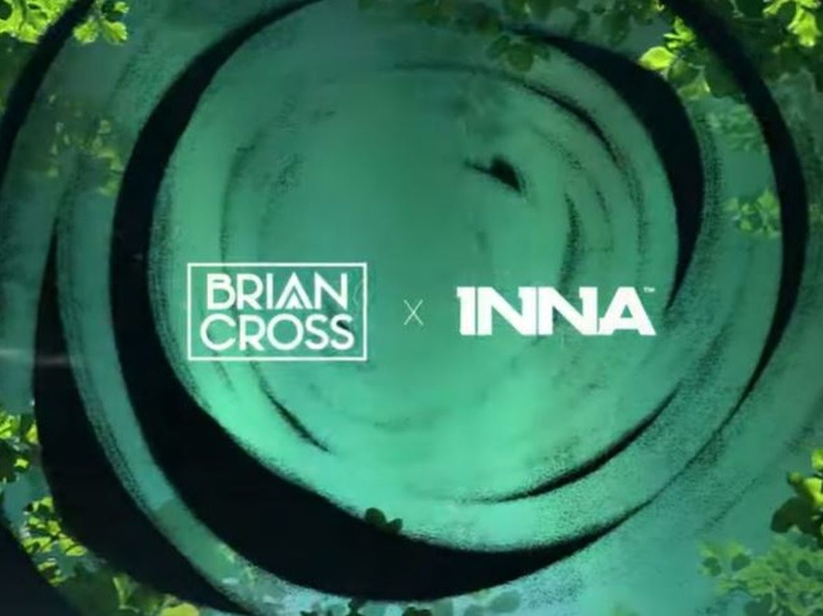 Brian Cross, INNA - Like That