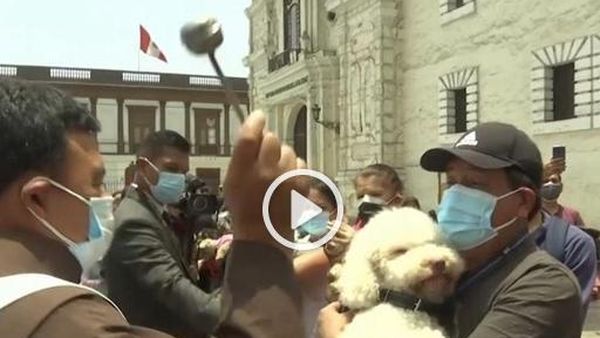 Ceremonie de binecuvântare a câinilor și pisicilor în Peru! AUDIO Dimineața Nebună