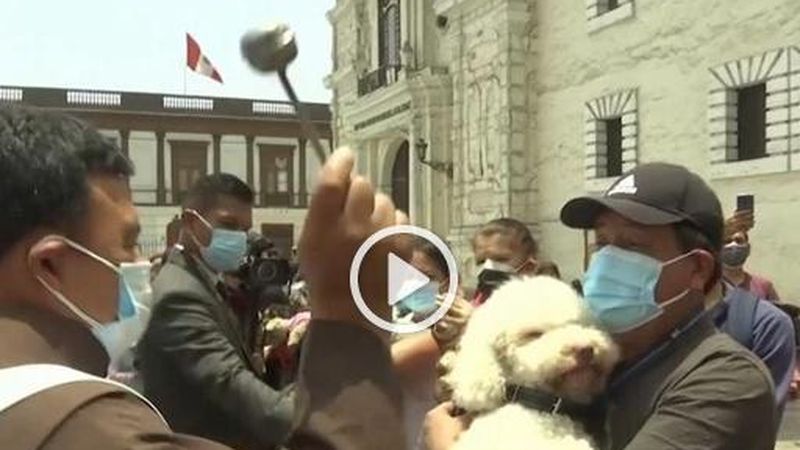 Ceremonie de binecuv&acirc;ntare a c&acirc;inilor și pisicilor &icirc;n Peru! AUDIO Dimineața Nebună
