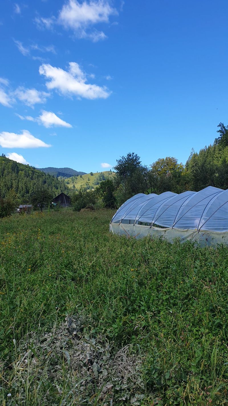 Sâmbăta aceasta, de la ora 15:00, în ”ROventura”, Ținutul Neamțului  ﻿