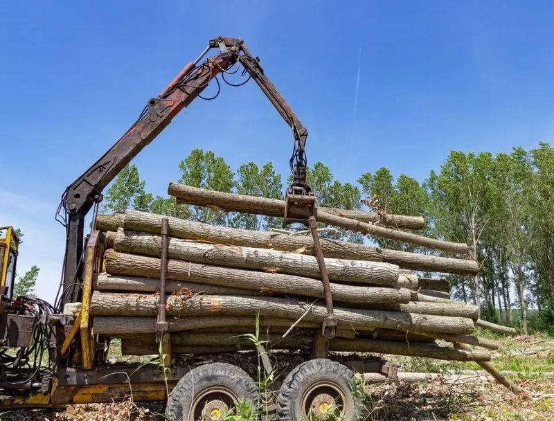 Ce salarii au în prezent angajații la Garda Forestieră cu tot cu bonusuri și sporuri