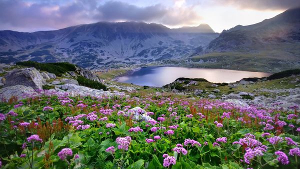 Unde sunt amplasate cele 14 parcuri naționale din Rom&acirc;nia