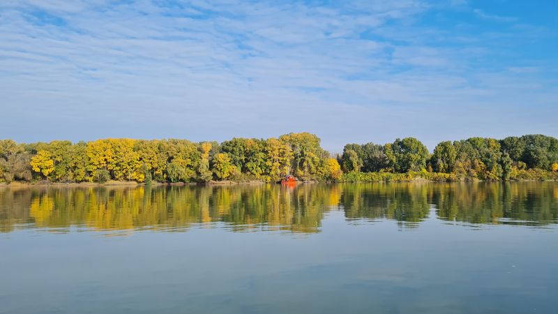 În România, există 14 parcuri naţionale, împărţite în fiecare zonă a ţării. 