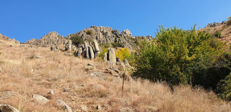 În România, există 14 parcuri naţionale, împărţite în fiecare zonă a ţării. 